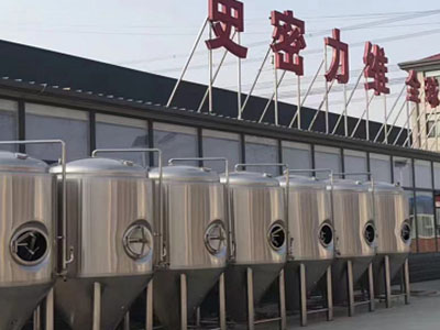 兴庆精酿啤酒设备厂—如何判断精酿啤酒设备的密封件需要更换？